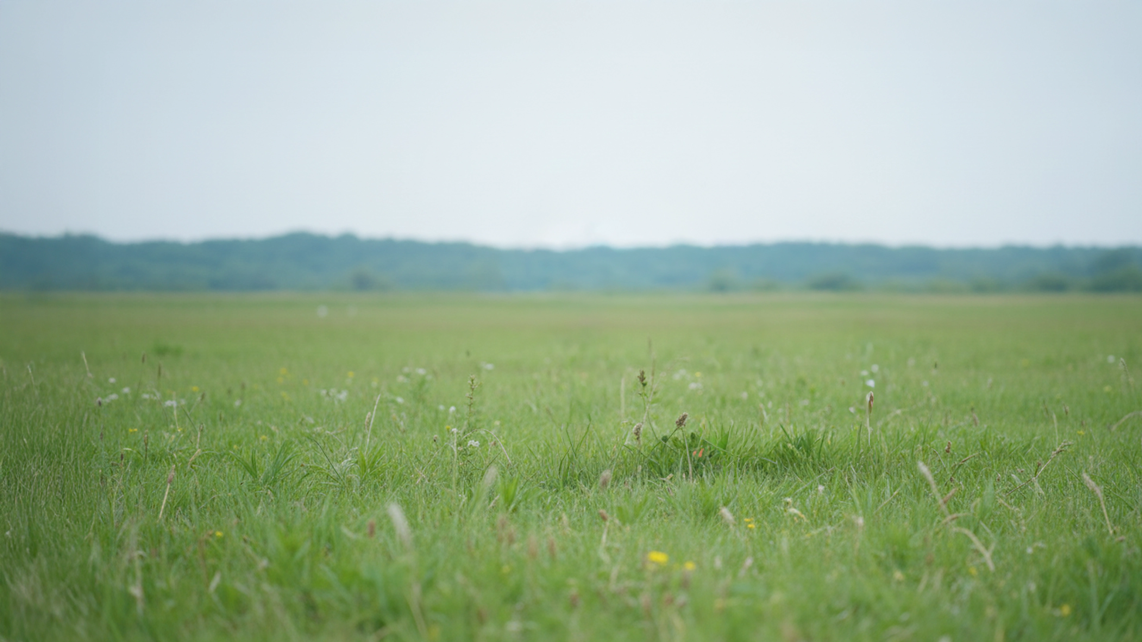 Industrial Robot Arm Back